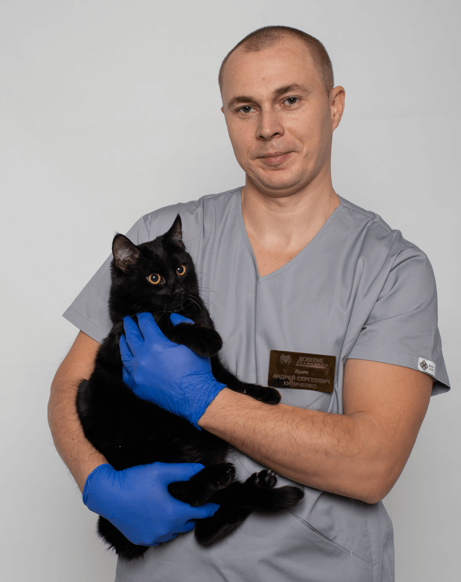 Кітіченко Андрій Сергійович