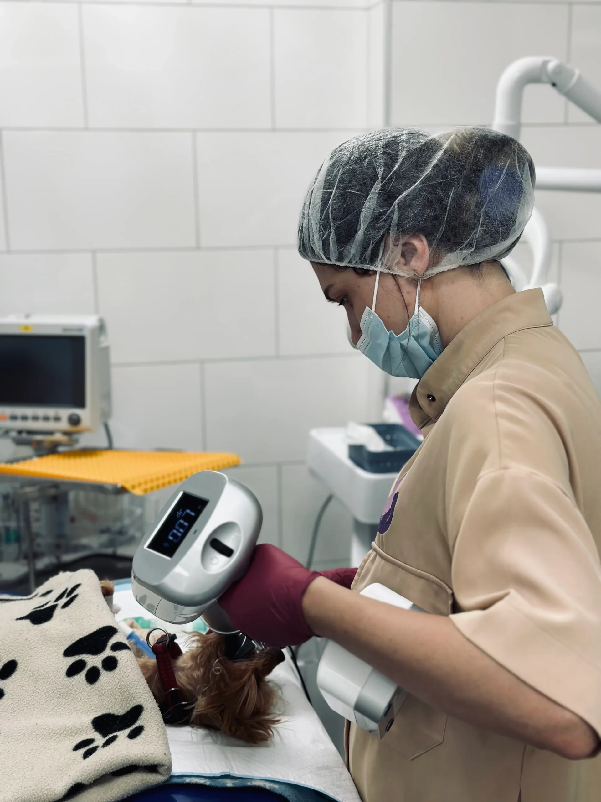 Коли потрібна консультація ветеринарного стоматолога?